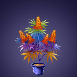 NFTokin #12417