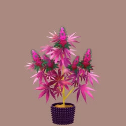 NFTokin #5407