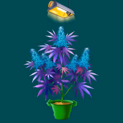 NFTokin #7678