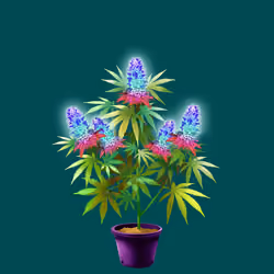NFTokin #8849