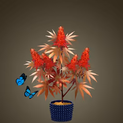 NFTokin #12293