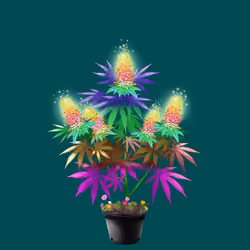NFTokin #12853