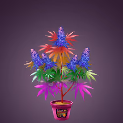 NFTokin #12879