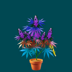 NFTokin #10553