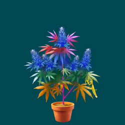 NFTokin #9014