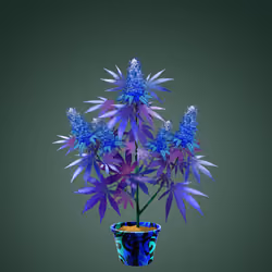 NFTokin #10413