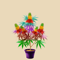 NFTokin #11092