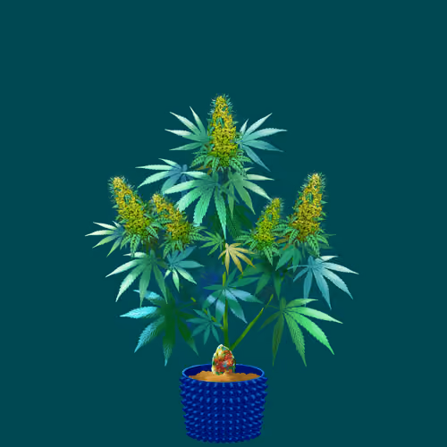 NFTokin #442
