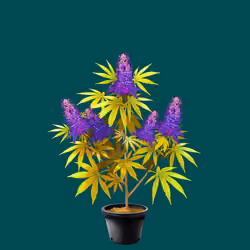 NFTokin #4103