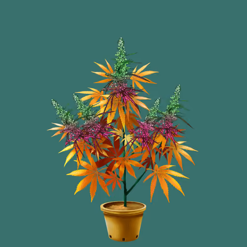 NFTokin #8544