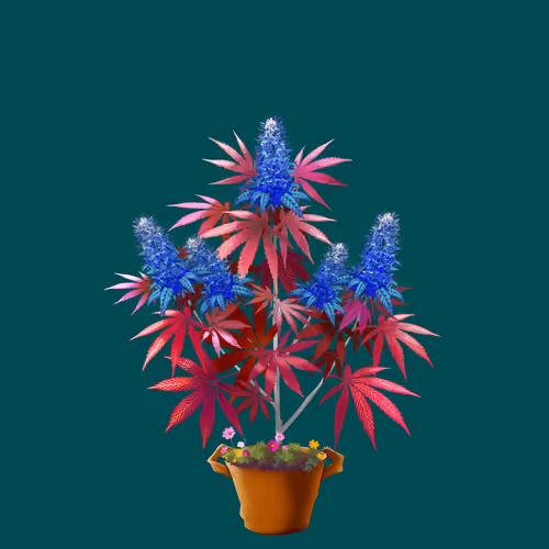 NFTokin #11117