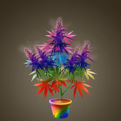 NFTokin #6479