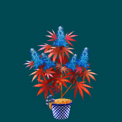 NFTokin #2333