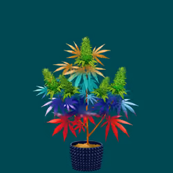 NFTokin #9207