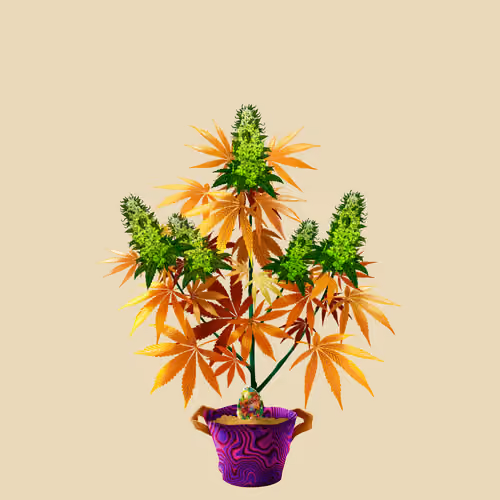 NFTokin #11840