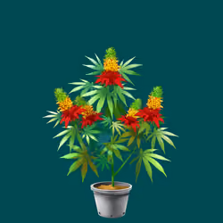 NFTokin #12118