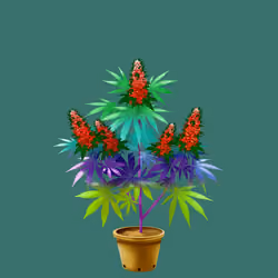 NFTokin #7255