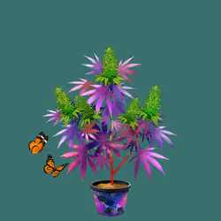 NFTokin #4199