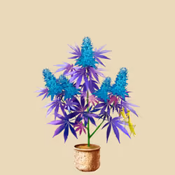 NFTokin #9733