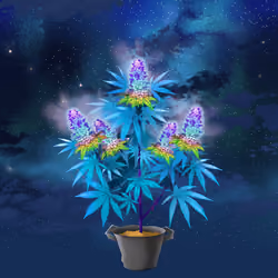 NFTokin #11294