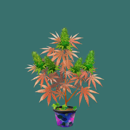 NFTokin #10084