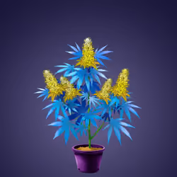 NFTokin #4172