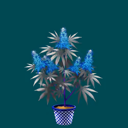 NFTokin #5397