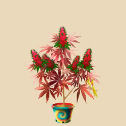 NFTokin #1470