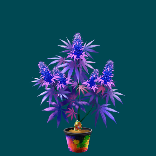 NFTokin #7393