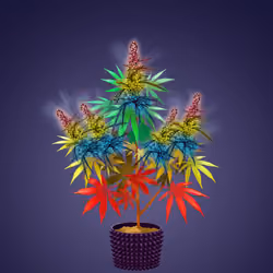 NFTokin #8062