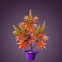 NFTokin #12747