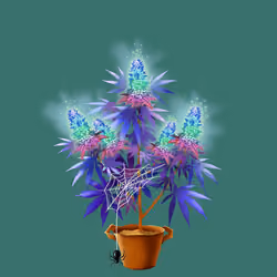 NFTokin #9205