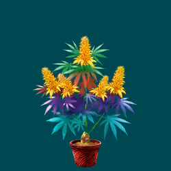 NFTokin #4308