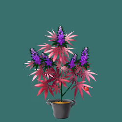 NFTokin #9138