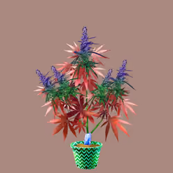 NFTokin #7384