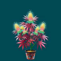 NFTokin #11471