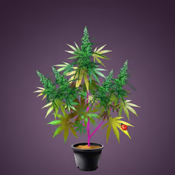 NFTokin #10257