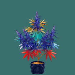 NFTokin #1469