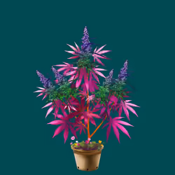 NFTokin #12375