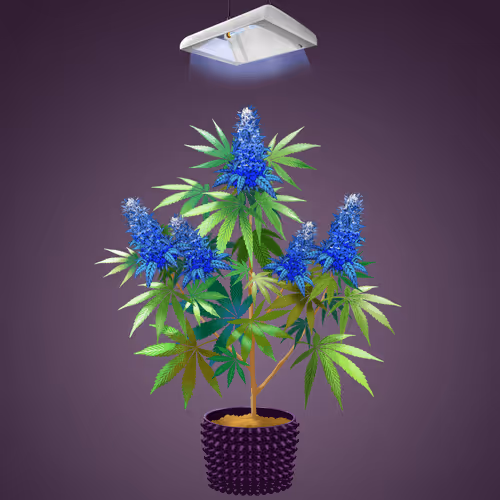 NFTokin #7468