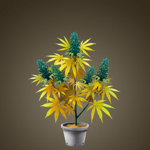 NFTokin #11827