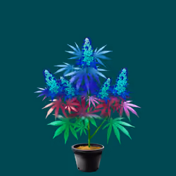 NFTokin #10897