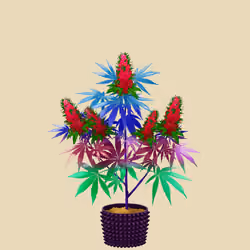 NFTokin #11299