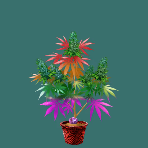 NFTokin #8872