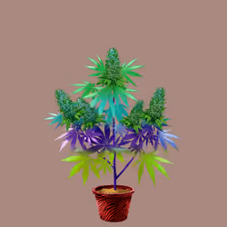 NFTokin #2033