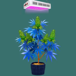 NFTokin #8957