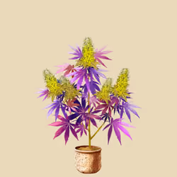 NFTokin #6199