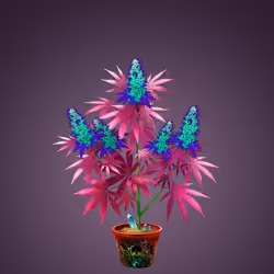 NFTokin #4524