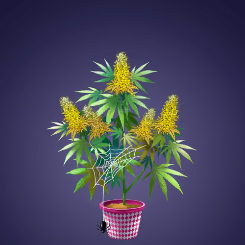 NFTokin #7985