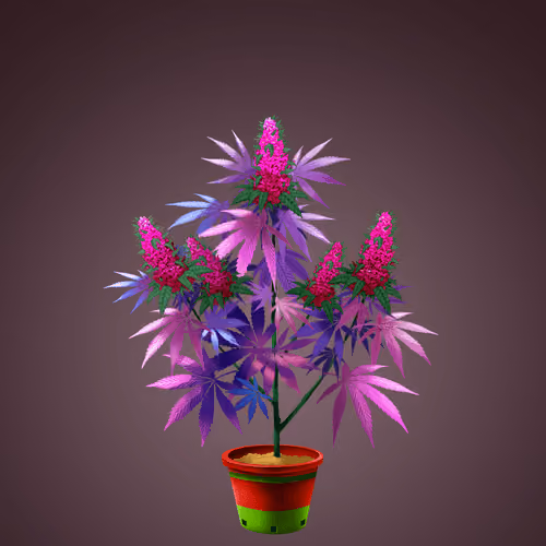 NFTokin #9764